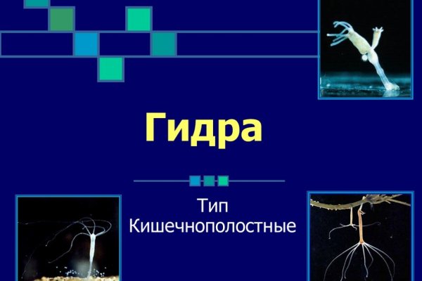 Kraken официальные зеркала