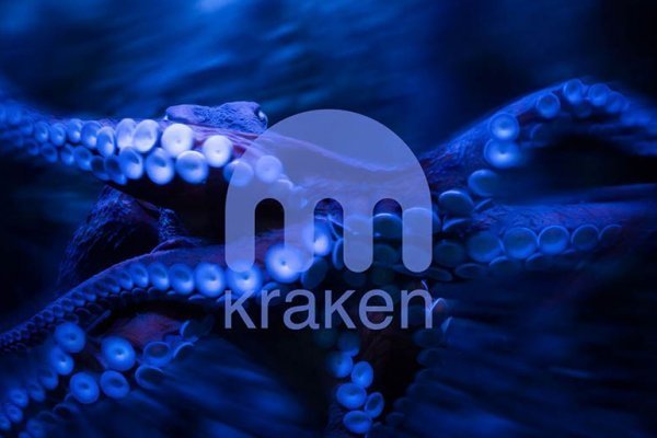 Kraken рабочий