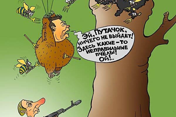 Как зайти на кракен с компа