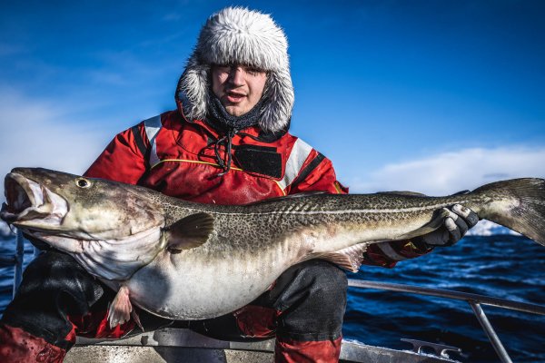Kraken ссылка зеркало рабочее