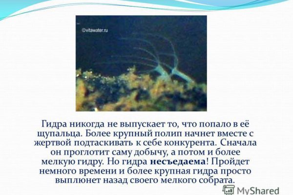 Кракен топ