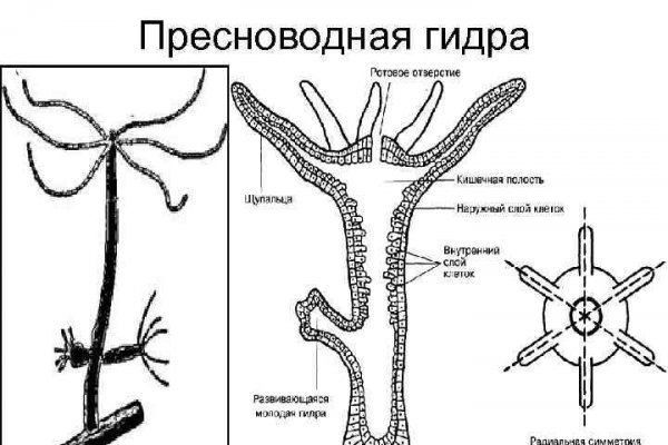 Kraken ссылка сайт kraken clear com