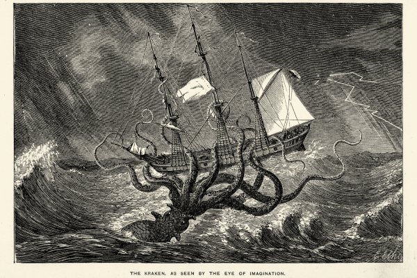 Kraken tor song