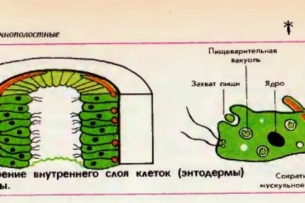 Кракен сайт krk market com