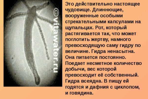 Kraken onion ссылка