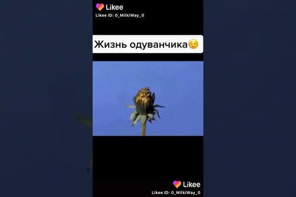 Kraken official