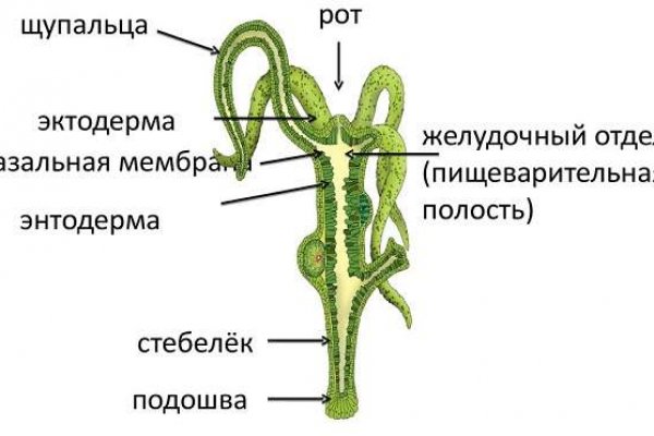 Kraken зеркало krakentor site